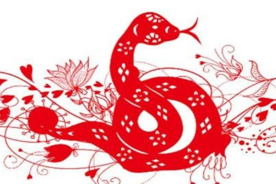 Người tuổi Tỵ biết rất rõ rằng chỉ bằng cách làm tốt mọi việc một cách thực tế, họ mới có thể đạt được thành công lâu dài trong sự nghiệp. Vì vậy, con giáp này luôn có thể tiến về phía trước một cách vững chắc và liên tục đạt được mục tiêu đã đề ra.