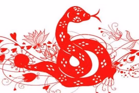 Người tuổi Tỵ biết rất rõ rằng chỉ bằng cách làm tốt mọi việc một cách thực tế, họ mới có thể đạt được thành công lâu dài trong sự nghiệp. Vì vậy, con giáp này luôn có thể tiến về phía trước một cách vững chắc và liên tục đạt được mục tiêu đã đề ra.