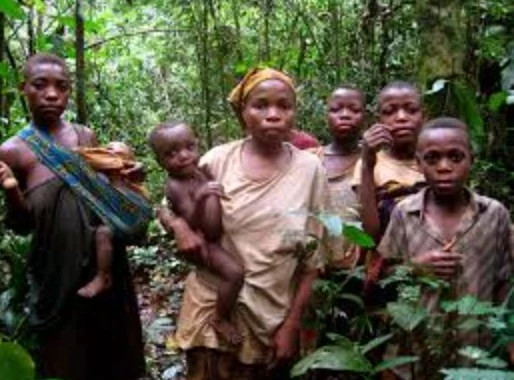 Kinh ngạc bộ tộc lùn nhất thế giới, kết hôn rất sớm, sống chân thành Kinh ngac bo toc lun nhat the gioi, ket hon rat som, song chan thanh