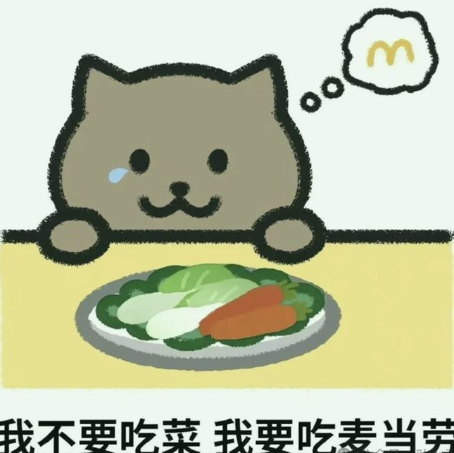 Canh sat tuyen bo chi gai Meo Beo thao tung du luan