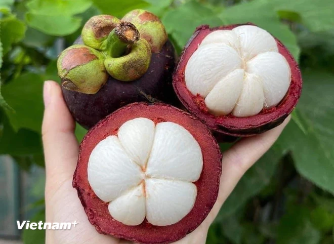 'Nu hoang trai cay' mang cut co loi the nao cho suc khoe?-Hinh-3