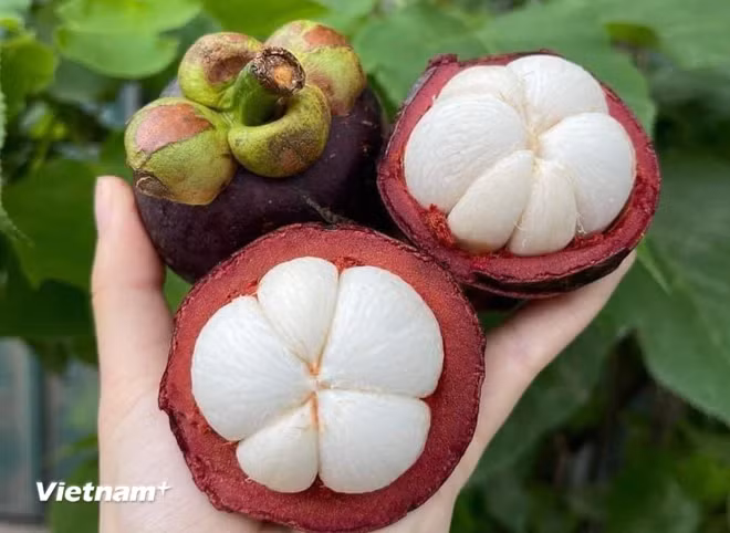 'Nu hoang trai cay' mang cut co loi the nao cho suc khoe?-Hinh-3