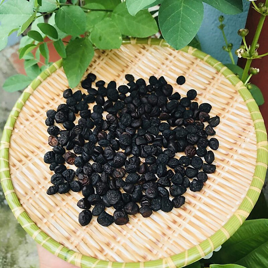 Ngoài ra, hạt dổi cũng được bà con Tây Bắc ướp thịt, ướp cá hoặc thịt trâu gác bếp, thịt lợn gác bếp… Vì vậy giá hạt dổi càng về cuối năm càng cao, có khi lên đến 4 triệu đồng/kg.