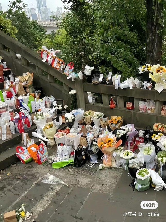 Su that bi bop meo do “hoi chung dam dong