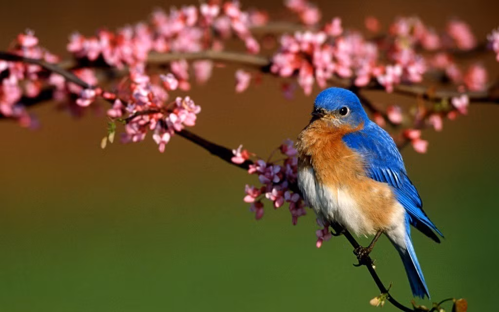 Ai sinh thang Am lich nay tram on, tu tin, lam an thuan loi, cang ve sau cang phat dat-Hinh-2