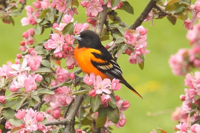 Ai sinh thang Am lich nay tram on, tu tin, lam an thuan loi, cang ve sau cang phat dat-Hinh-4