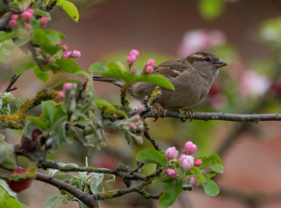 Ai sinh tháng Âm lịch này trầm ổn, tự tin, làm ăn thuận lợi, càng về sau càng phát đạt - Hình 3 Ai sinh thang Am lich nay tram on, tu tin, lam an thuan loi, cang ve sau cang phat dat-Hinh-3