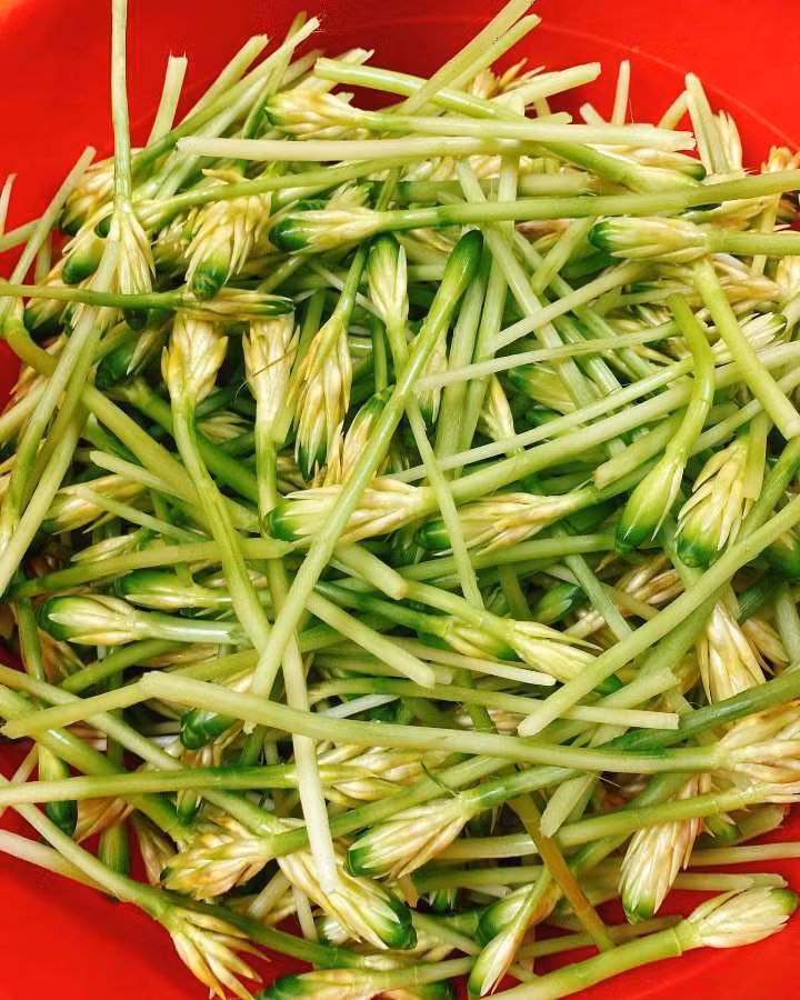 Loai hoa nam chi co 1 lan duoc che bien nhieu mon an la-Hinh-3