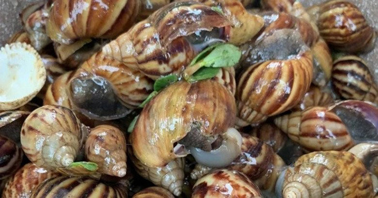 Thế nhưng, ở một số nơi, loài ốc này là đặc sản bán với giá cao hơn cả một số loại ốc khác, thậm chí muốn ăn phải đặt từ nơi khác về.