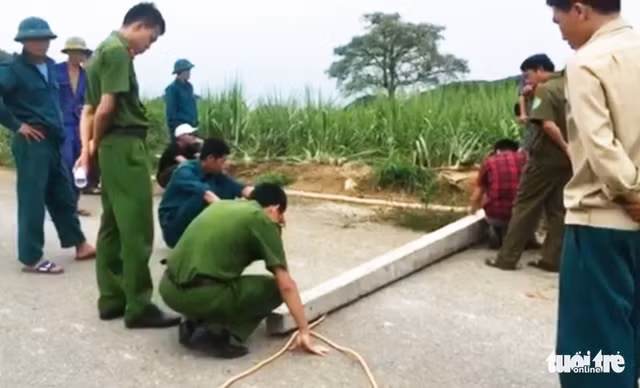 Hiện trường vụ tai nạn điện giật làm 4 người chết, 3 người bị thương - Ảnh: DOÃN HÒA