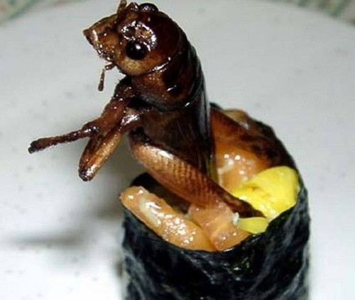 Sushi dế.
