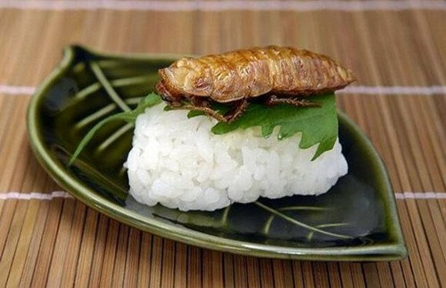 Sushi gián non.