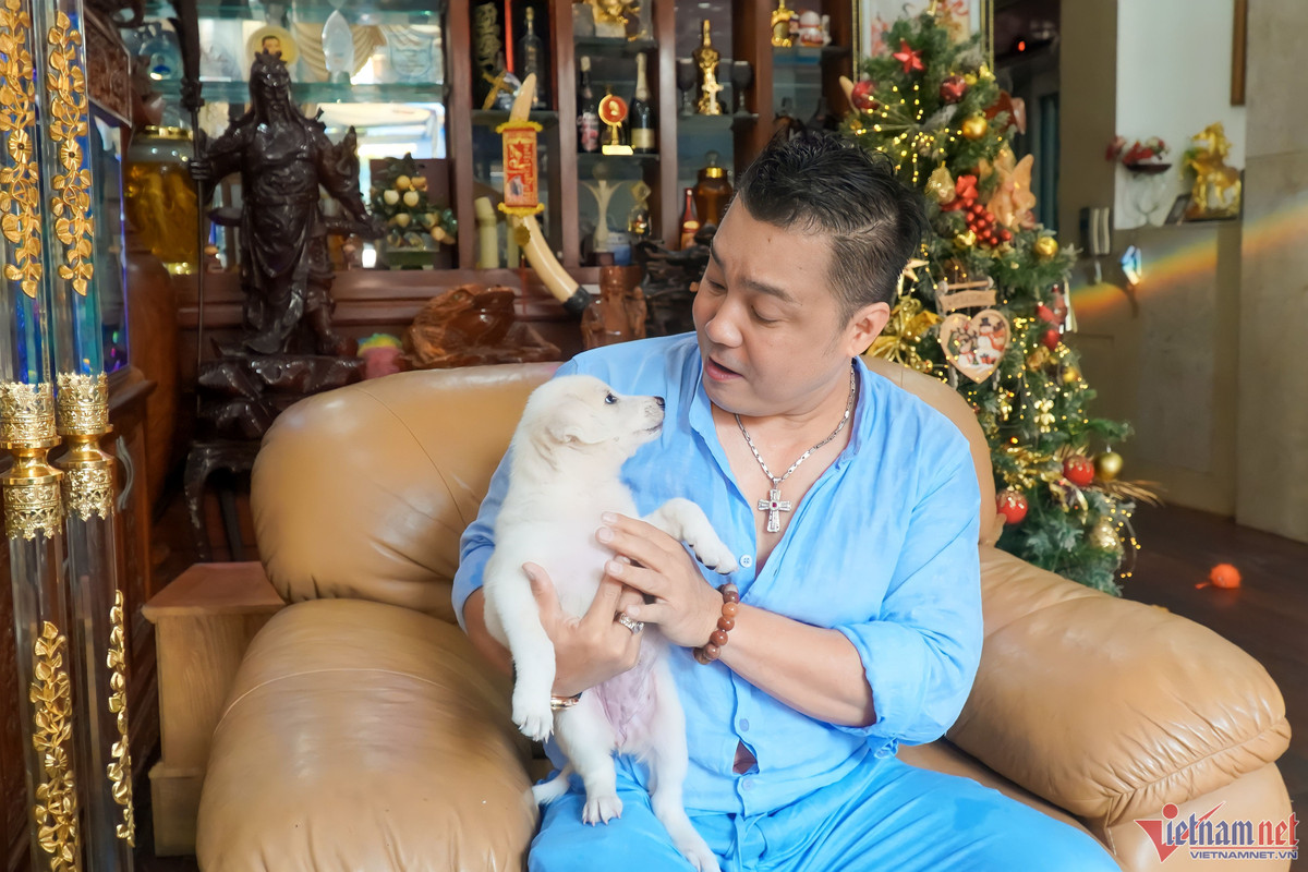 Lý Hùng khoe cô chó Nhật chưa tròn 1 tuổi. Bà Lan - mẹ nam diễn viên - đặt tên cho bé là Mia. "Cô bé này do người quen của gia đình tôi tặng. Bé rất thông minh, cứ thấy tôi hoặc mẹ là hớt hải chạy đến quấn lấy chân chủ", anh kể.