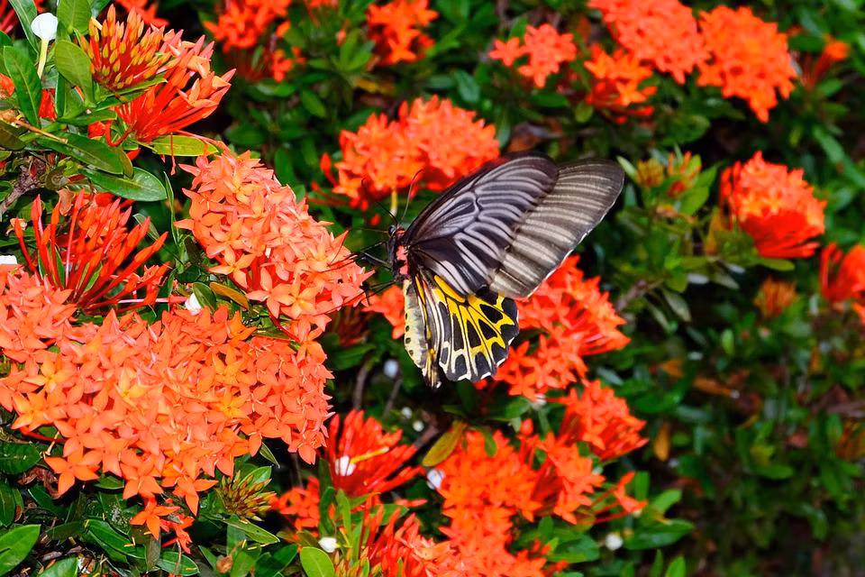 Sinh vào 5 ngày Âm lịch này, đào hoa “vạn dặm”, hấp dẫn Sinh vao 5 ngay Am lich nay, dao hoa “van dam”, hap dan