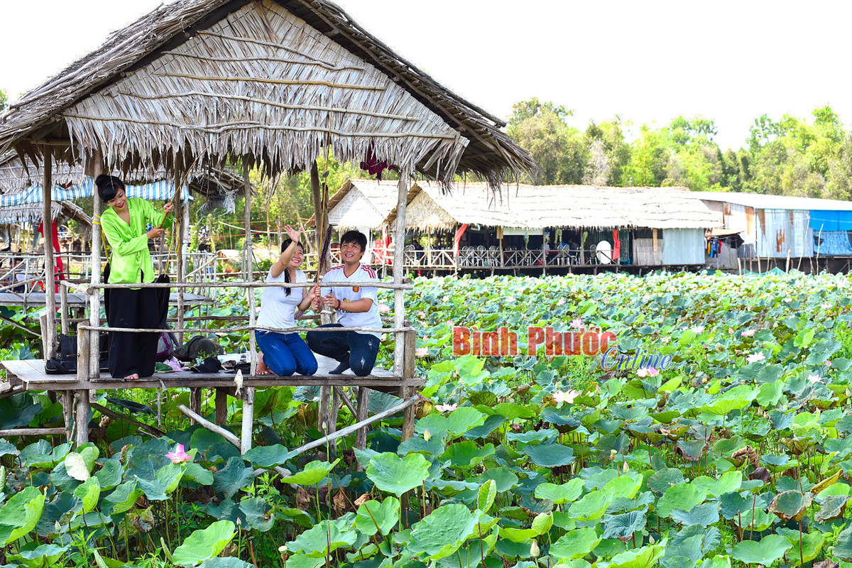 Nong nghiep Dong Thap thu hut khach vui xuan-Hinh-5