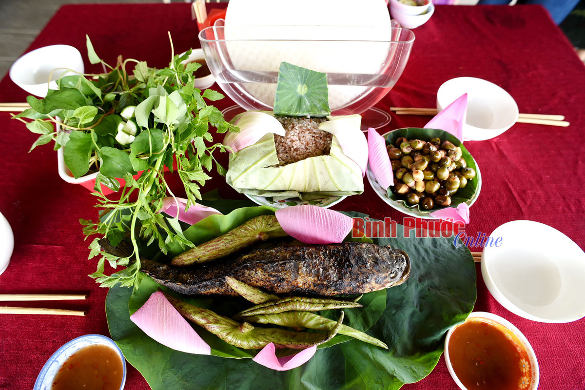 Nong nghiep Dong Thap thu hut khach vui xuan-Hinh-6