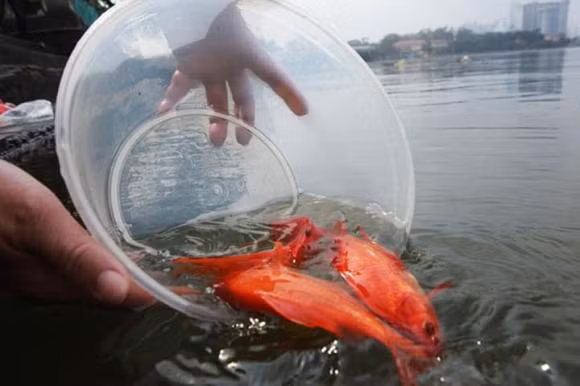 Nhung dieu nen va khong nen trong ngay cung ong Cong ong Tao 2023-Hinh-2