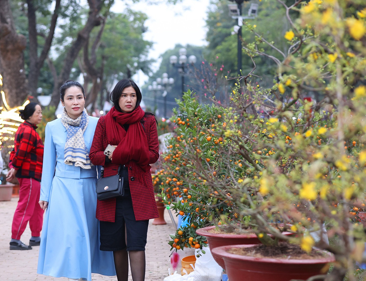 Chợ hoa xuân tại khu vực Công viên Thống Nhất là năm đầu tiên được tổ chức.