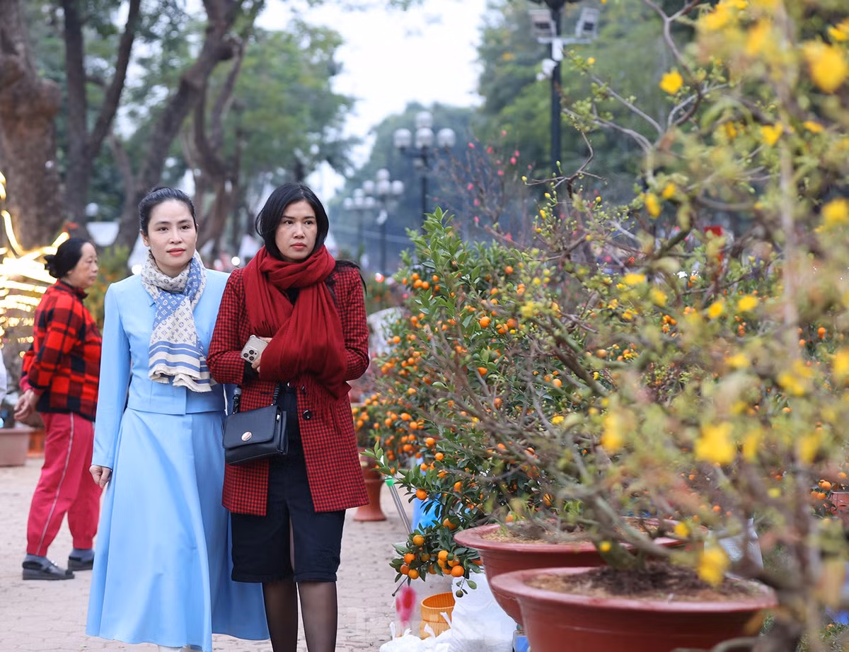 Chợ hoa xuân tại khu vực Công viên Thống Nhất là năm đầu tiên được tổ chức.