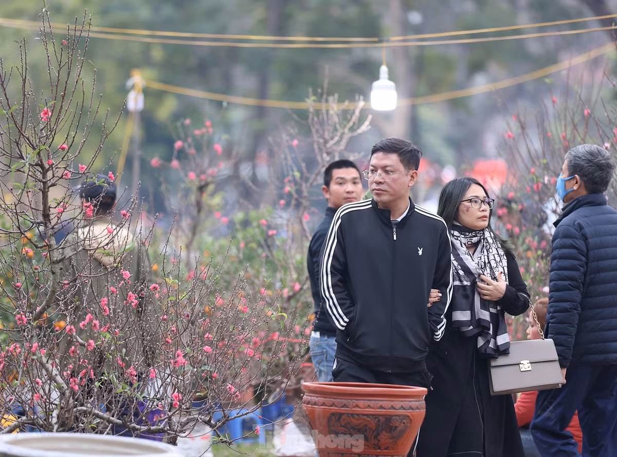 Chợ có hơn 20 gian hàng bày bán các loại hoa, cây cảnh… phục vụ người dân mua sắm tết.