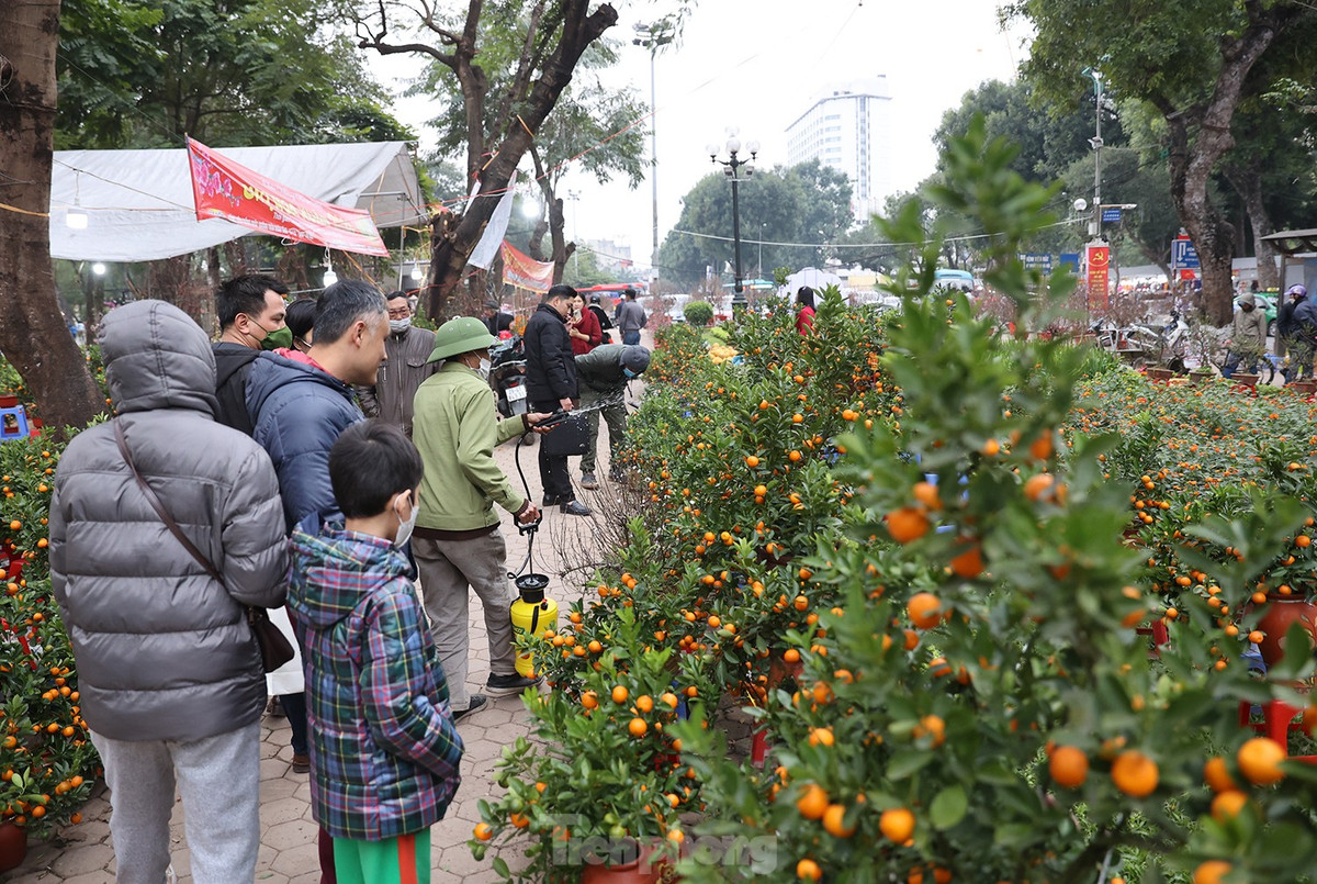 Chợ hoa thu hút người dân Thủ đô tới sắm Tết cũng như dạo phố đi bộ.