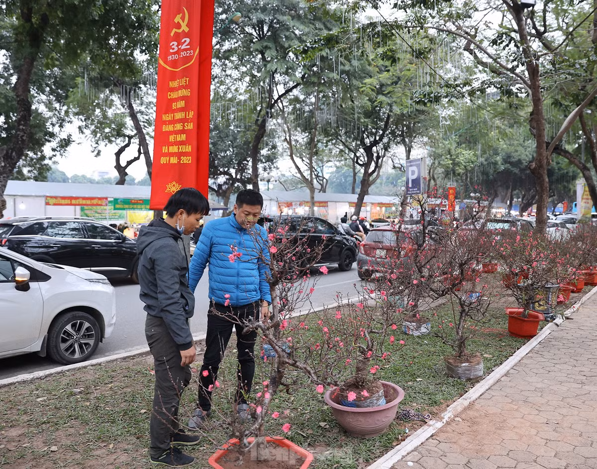 Cây đào thế được một vị khách mua với giá gần 2 triệu đồng.