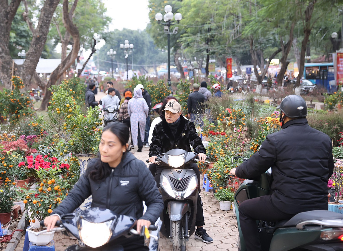 Người dân đi chơi chợ Tết, có thể mua sắm những cây quất cảnh, hoa tươi, hoa đào và đồ trang trí, đồ giả cổ, hoa lụa.