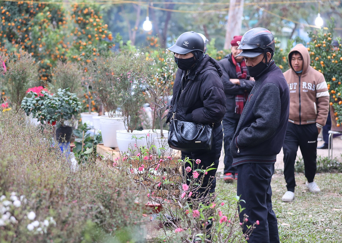 Nhiều người dân Hà Nội có thói quen đi dạo vừa thưởng thức vừa tìm kiếm cành hoa, chậu cây ưng ý để trưng bày trong không gian ngôi nhà của mình trong những ngày Tết.