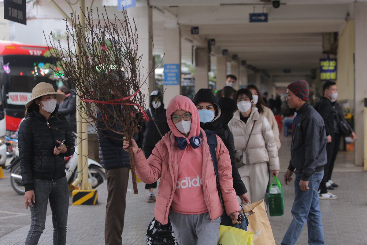 Những cành đào mang lại không khí xuân tại bến xe Giáp Bát.
