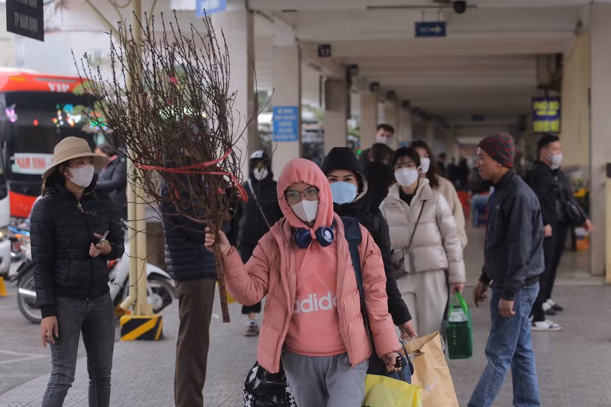 Những cành đào mang lại không khí xuân tại bến xe Giáp Bát.
