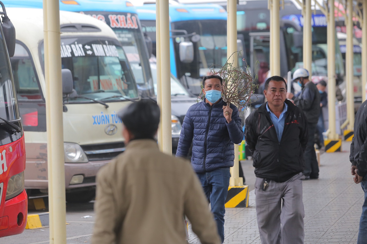 Bên cạnh những hành lý cồng kềnh, người dân mang theo những cành đào về quê nhà.