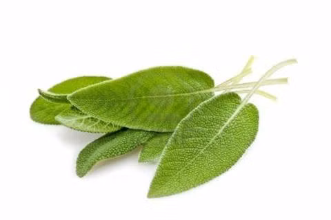 Tinh dầu xô thơm (Clary Sage). Clary Sage được biết đến với công dụng giảm viêm, tái tạo tế bào da và cân bằng sản lượng dầu trên làn da bạn. Nó cũng giúp giảm đau trong thai kỳ, đó là lí do vì sao bạn nên dùng tinh dầu clary sage thường xuyên hơn trong thời gian này.