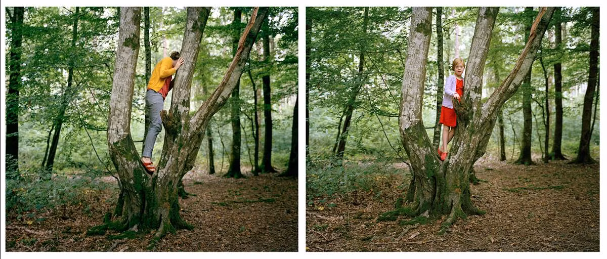 Bức ảnh mang tên "trèo cây" được chụp năm 2011.