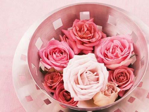 Hoa hồng. Ngoài các vitamin nhóm B, D, E, K, trong cánh hoa hồng chứa nhiều vitamin C, một chất chống ô-xy hóa mạnh mẽ, chống viêm lỗ chân lông, làm giảm vết thâm, giảm mụn, mang đến làn da mềm mại, mịn màng.