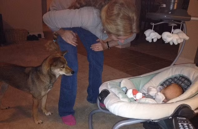 Những hình ảnh về tình cảm của chú chó Zero với bé gái Reddit Prolificsalo được mẹ bé đăng tải lên mạng xã hội và thu hút được hàng nghìn lượt chia sẻ.