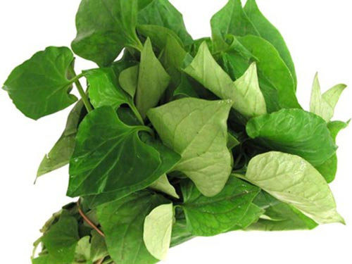 Rau diếp cá trị mụn. Diếp cá là 1 loại thảo dược lành tính và khá phổ biến. Bên cạnh là loại rau sống trong mỗi bữa ăn của gia đình, các quý cô có làn da sần sùi còn có thể "hưởng lợi" từ loại rau này với công dụng trị mụn bọc và mụn đầu đen hiệu quả.