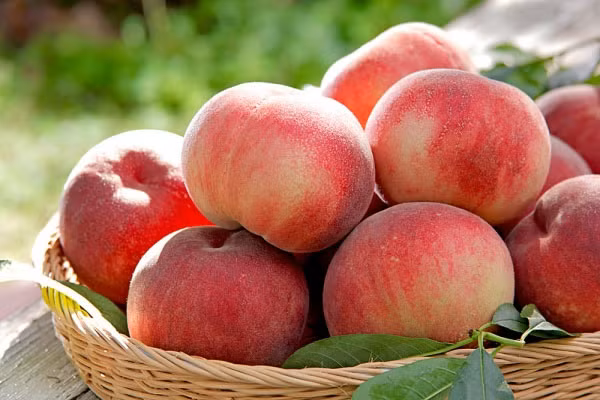 Đào cũng giúp trị nám da. Cũng như cà chua và một số loại trái cây khác, trái đào rất giàu vitamin A và C, là phương thuốc hữu hiệu dành cho da khô nám. Lấy một trái đào gọt sạch bỏ vỏ, xay nhuyễn trộn cùng một muỗng yahhourt. Rửa sạch mặt sau đó đắp hỗn hợp này lên da khi da còn ẩm trong 20 phút, rồi rửa lại bằng nước mát.