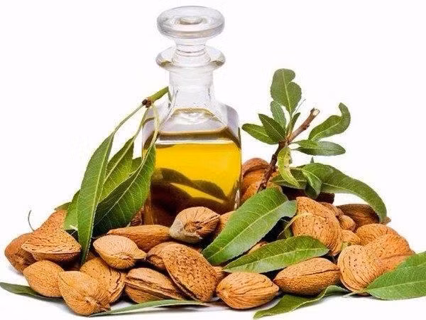 Dầu hạnh nhân. Nếu bạn cần nuôi tóc mọc nhanh và khỏe, dầu hạnh nhân là một phương pháp đơn giản nhưng cực hiệu quả để đạt được ước mơ đó. Dầu hạnh nhân hữu ích như vậy là bởi vì nó có rất nhiều axit béo lành mạnh, làm cho tóc của bạn mềm mại nhưng vẫn chắc khỏe.