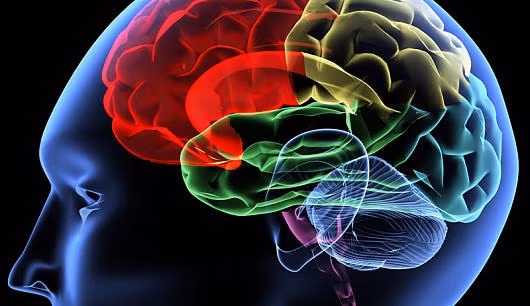 Ngoài ra, người nghiện "đá" có thể có các biểu hiện suy kiệt, mắc bệnh kết hợp, lú lẫn, hoang tưởng, cáu gắt, trầm cảm và loạn thần.