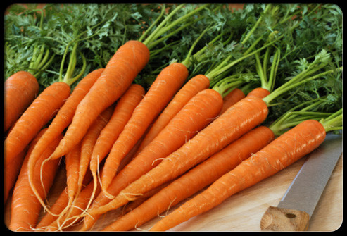 Cà rốt. Cà rốt giàu vitamin A – một loại vitamin giúp da đầu khỏe mạnh. Bạn đừng bỏ qua loại thực phẩm khá rẻ tiền và dễ kiếm.