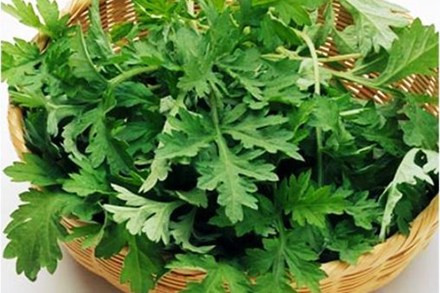 Trong lá ngải cứu có chứa những chất giúp phân giải chất béo rất tốt, giảm cholesterol xấu ra khỏi cơ thể nhanh. Chất thujone còn đem lại một tinh thần tỉnh táo, giúp giảm stress nhanh, tinh dầu kích thích đổ mồ hôi nhanh, hỗ trợ giảm béo hiệu quả.