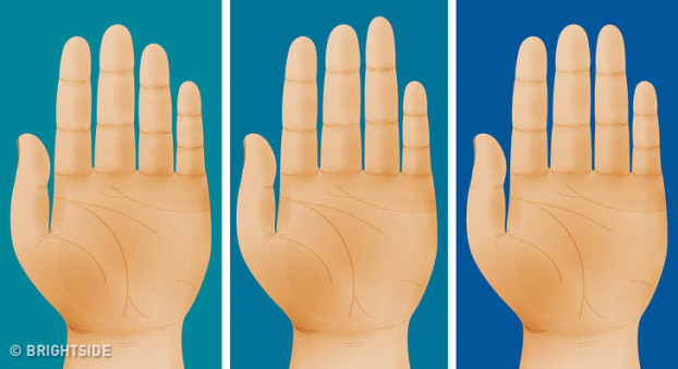 Nhìn bàn tay và ngón tay đoán tính cách cực chuẩn Nhin ban tay va ngon tay doan tinh cach cuc chuan