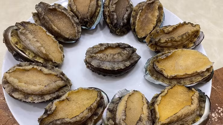 Muốn bắt bào ngư, các ngư dân phải lặn sâu xuống biển để tách chúng ra khỏi những tảng đá.