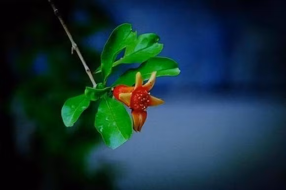 Nguoi co tri tue cam xuc cao khong den tham nha ba nguoi nay-Hinh-3