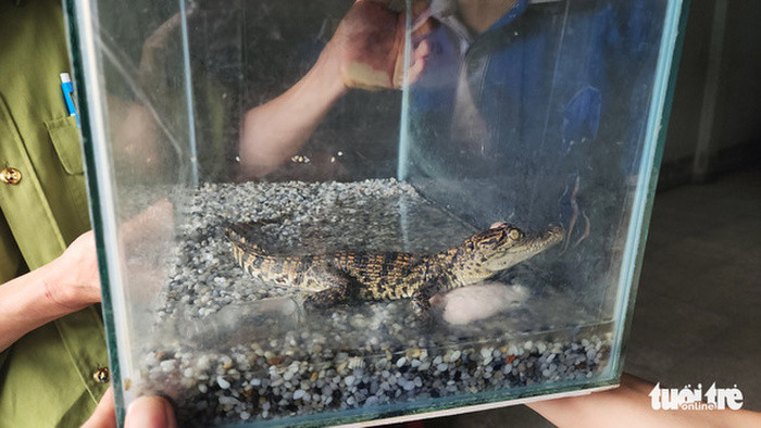 Con trai doi nuoi ca sau, me voi vang lam mot dieu-Hinh-2