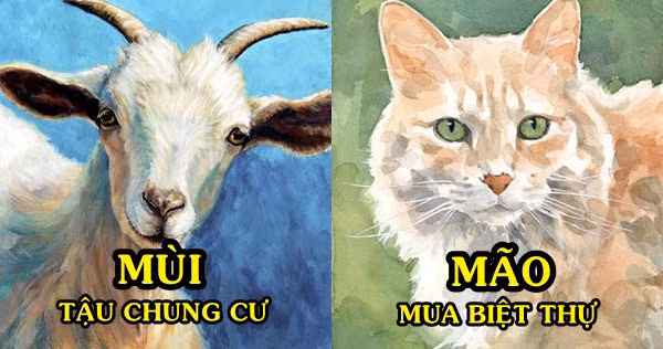 Như vậy, dù có vẻ ngoài khác nhau, nhưng bản chất của Mão và Mùi đều là những con giáp có chung nhân sinh: Đó là suy nghĩ tích cực, lạc quan, không thích đầu hàng số phận, suy nghĩ cẩn trọng trước khi đưa ra quyết định.