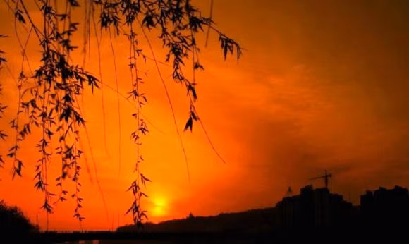 Đừng phàn nàn. Phàn nàn quá nhiều sẽ khiến cuộc sống bị “đứt đoạn”. Gặp phải chuyện không vừa ý cũng không nên than phiền quá nhiều, điều này có thể sẽ ảnh hưởng tới sức khỏe thể chất và tinh thần.