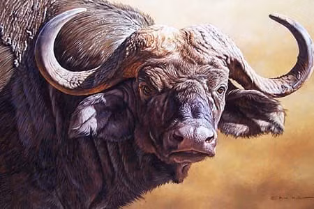 Top 3 con giap vuot be kho, 40 tuoi doi van bat ngo-Hinh-3