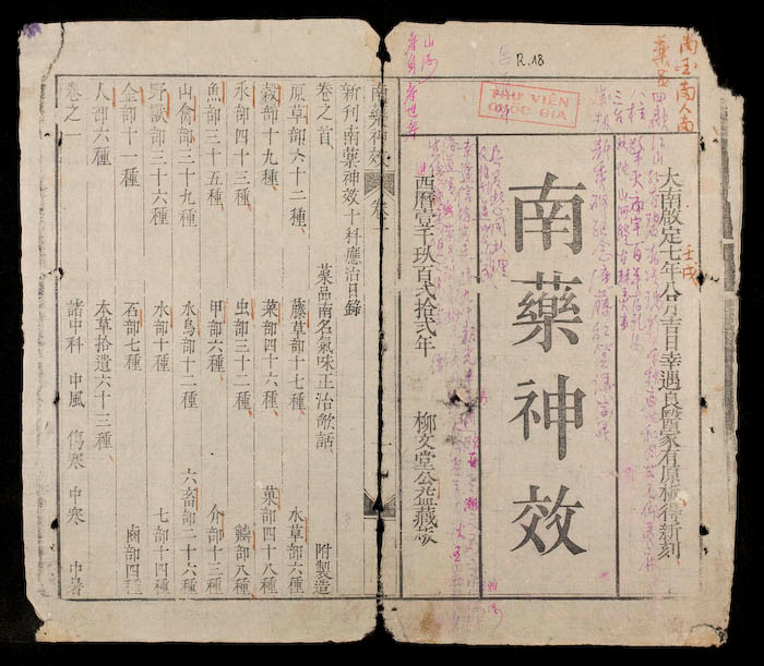 Ai được mệnh danh là “ông tổ” thuốc Nam? - Hình 3 Ai duoc menh danh la “ong to” thuoc Nam?-Hinh-3