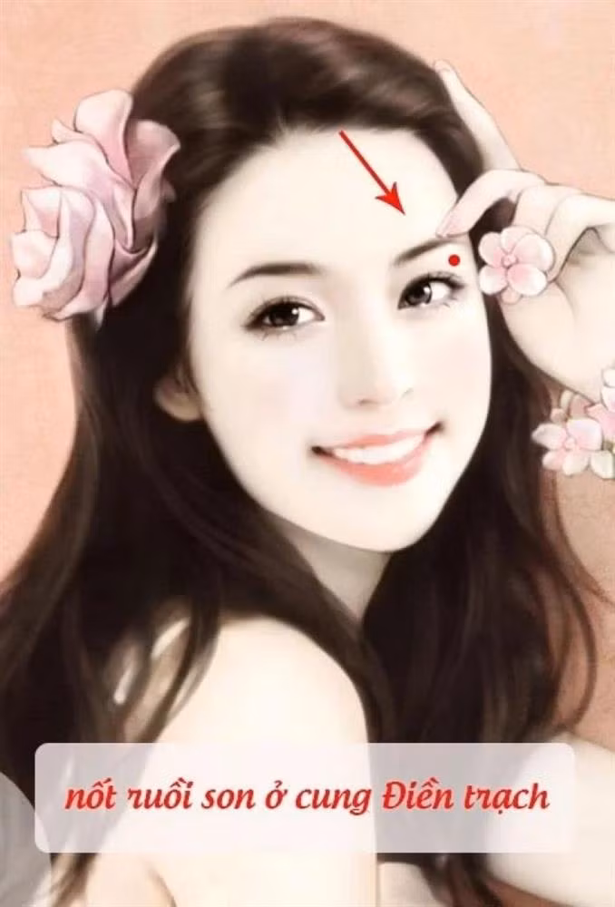 Nốt ruồi ở cung điền trạch. Theo nhân tướng học, vùng giữa lông mày và mí mắt được gọi là cung điền trạch. Cung này tiết lộ về lộc điền sản của chủ nhân, sở hữu ít hay nhiều đất đai.